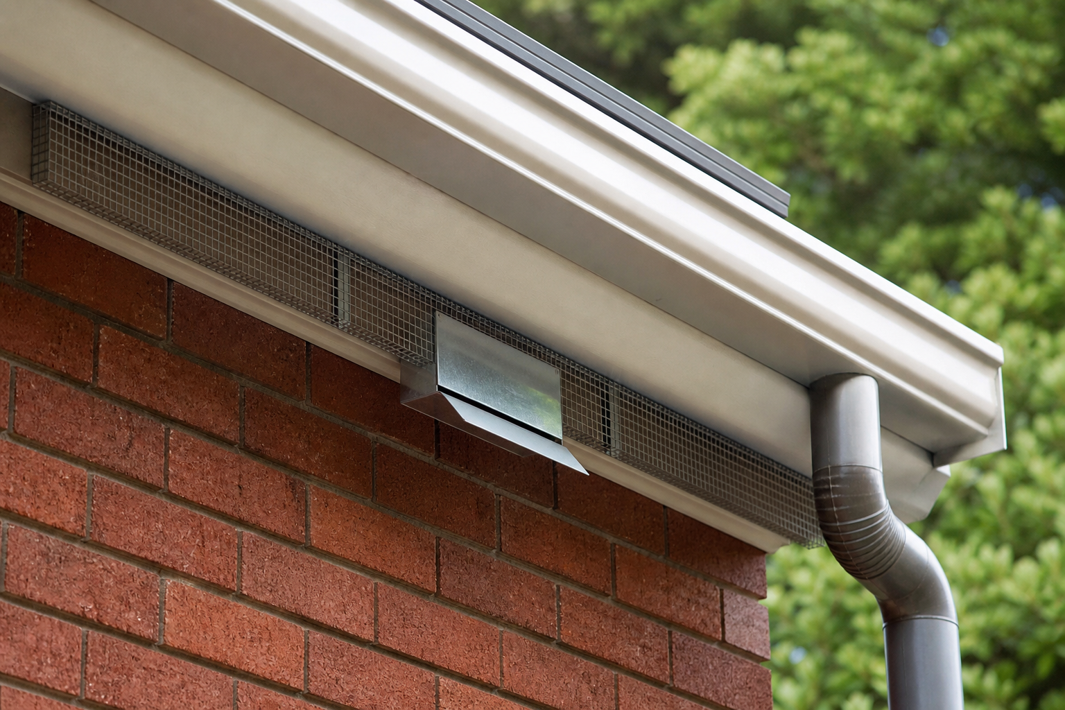 Melbourne roofline where a dead possum may be located